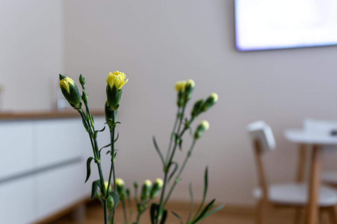 Violetos Lux Apartamentai2 Друскининкай Екстериор снимка
